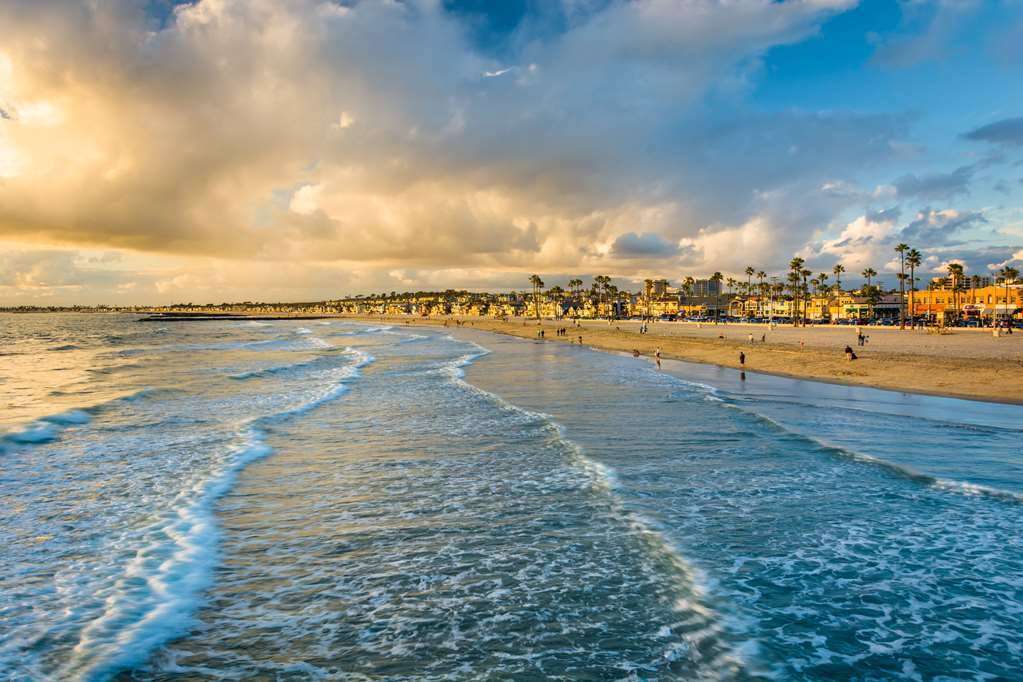 Cambria Hotel & Suites Anaheim Resort Area Olanaklar fotoğraf